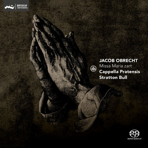 老师帮你打脚枪
